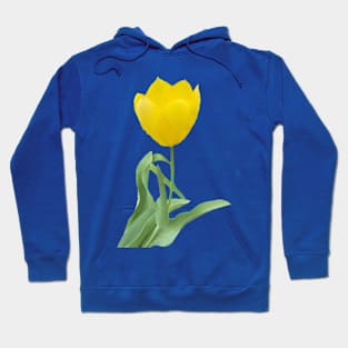 Single Yellow Tulip Hoodie